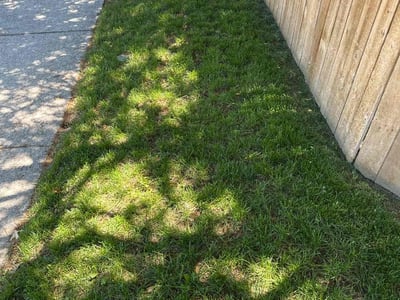 Lawn care service in Boise, 83704