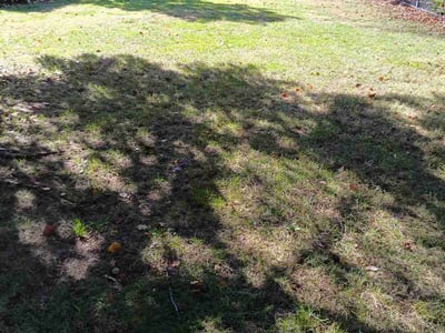 Lawn care service in Charlotte, 28269
