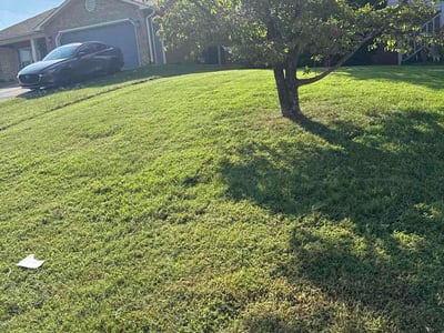 Lawn care service in Maryville, 37804