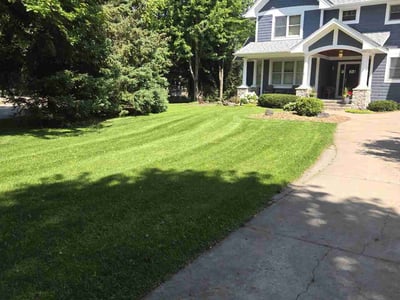 Lawn care service in Woodbury, 55129