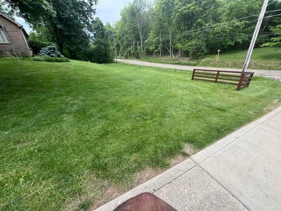 Lawn care service in Cincinnati, 45233