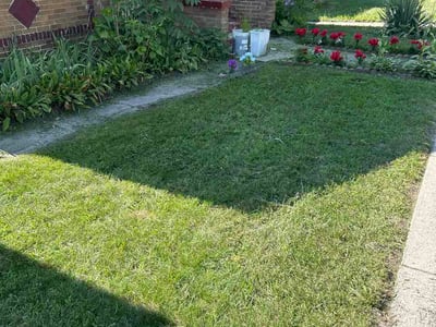 Lawn care service in Gary, 46408