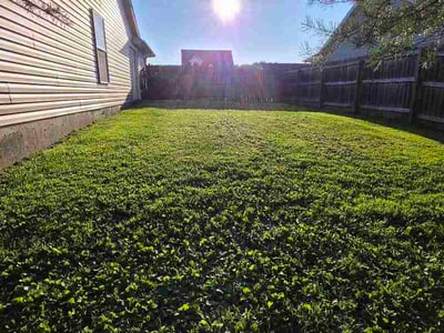 Lawn care service in Shepherdsville, 40165