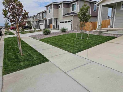 Lawn care service in Commerce City, 80022