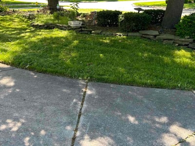 Lawn care service in Clinton Township, 48036