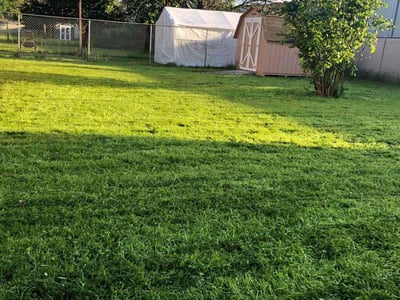 Lawn care service in Vancouver, 98682