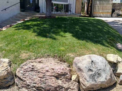 Lawn care service in Lakewood, 80228