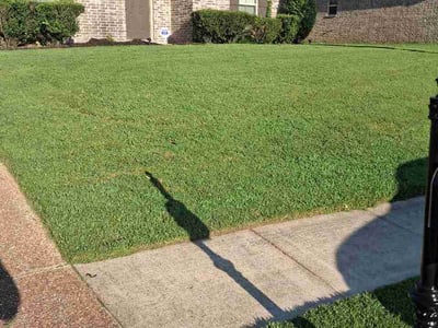 Lawn care service in Memphis, 38125