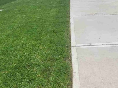 Lawn care service in Conroe, 77384
