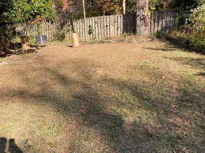 Lawn care service in Beltsville, 20705