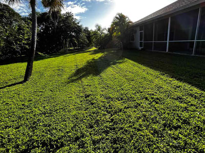 Lawn care service in Vero Beach, 32967