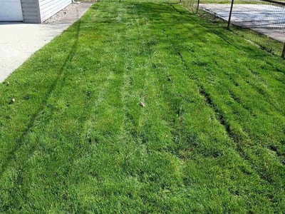 Lawn care service in Toledo, 43605