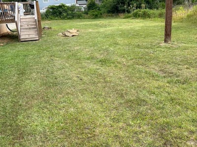 Lawn care service in Charlotte, 28214