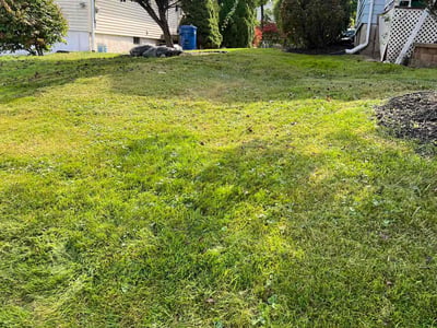 Lawn care service in Windsor, 06095