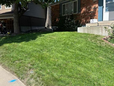 Lawn care service in Littleton, 80123