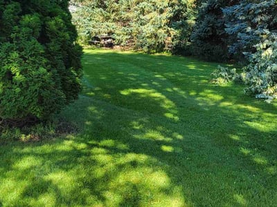 Lawn care service in Maple Grove, 55369