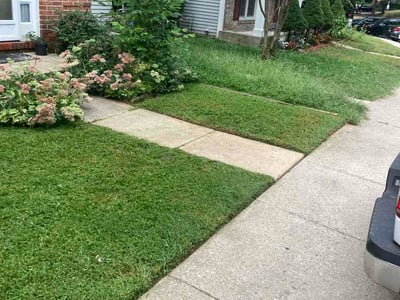 Lawn care service in Silver Spring, 20901