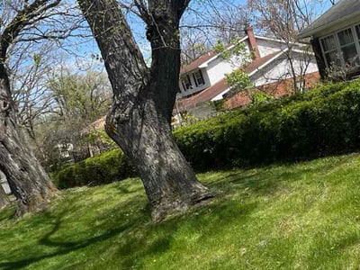 Lawn care service in Southfield, 48033