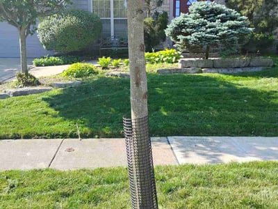 Lawn care service in Dublin, 43017