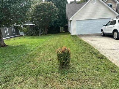 Lawn care service in Monroe, 28110