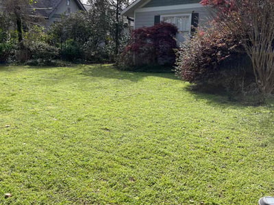 Lawn care service in Chattanooga, 37405