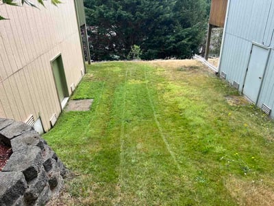 Lawn care service in Puyallup, 98375