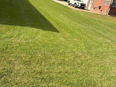 Lawn care service in Suffolk, 23435