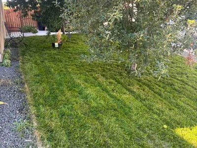 Lawn care service in Thornton, 80233