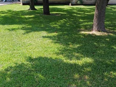 Lawn care service in Austin, 78748