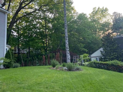 Lawn care service in Winchester, 01890
