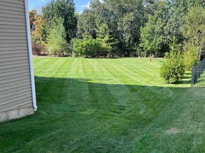 Lawn care service in Wildwood, 63038