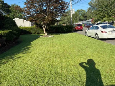 Lawn care service in Bay Shore, 11706