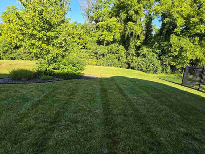 Lawn care service in Indianapolis, 46278
