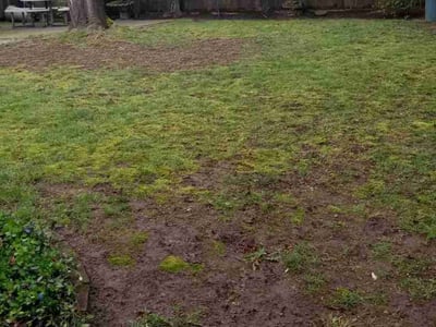 Lawn care service in , 