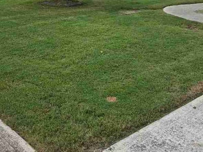 Lawn care service in Madison, 35756