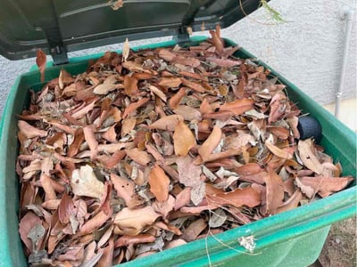 Lawn care service in San Antonio, 78219
