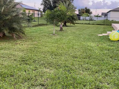 Lawn care service in Fort Myers, 33913