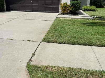 Lawn care service in Wesley Chapel, 33543