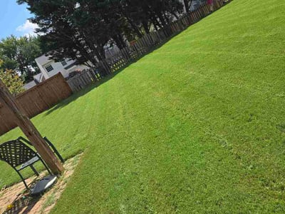 Lawn care service in Greenville, 29607