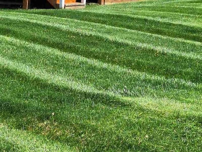 Lawn care service in Randallstown, 21133