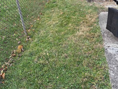 Lawn care service in Dayton, 45410