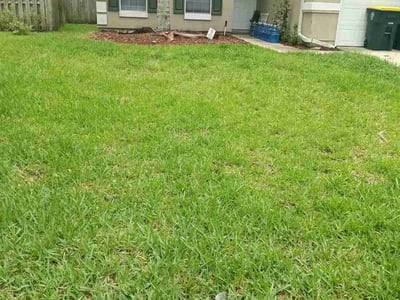 Lawn care service in Jacksonville, 32258