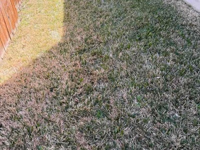 Lawn care service in Cedar Park, 78613