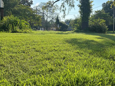Lawn care service in Lancaster, 29720