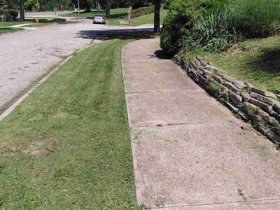 Lawn care service in Euclid, 44117