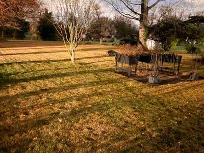 Lawn care service in Dayton, 45431