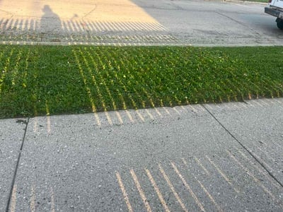 Lawn care service in Milwaukee, 53212