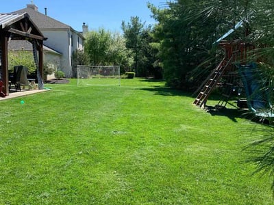Lawn care service in Dublin, 43017