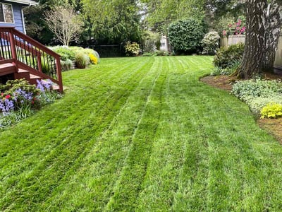 Lawn care service in Lynnwood, 98037