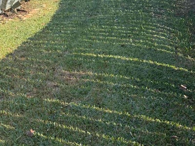 Lawn care service in Tomball, 77375